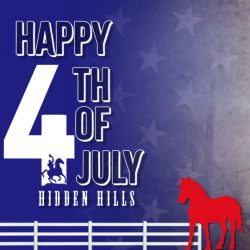 Independence Day Closure & Fireworks Safety Reminder
