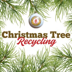 Christmas Tree Recycling