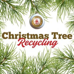 Christmas Tree Recycling