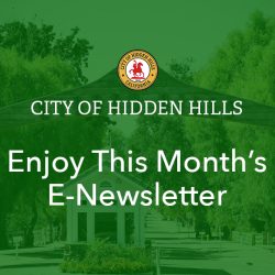 City E-Newsletter | July 2025