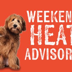 Heat Advisory