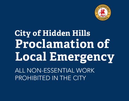 Proclamation of Local Emergency